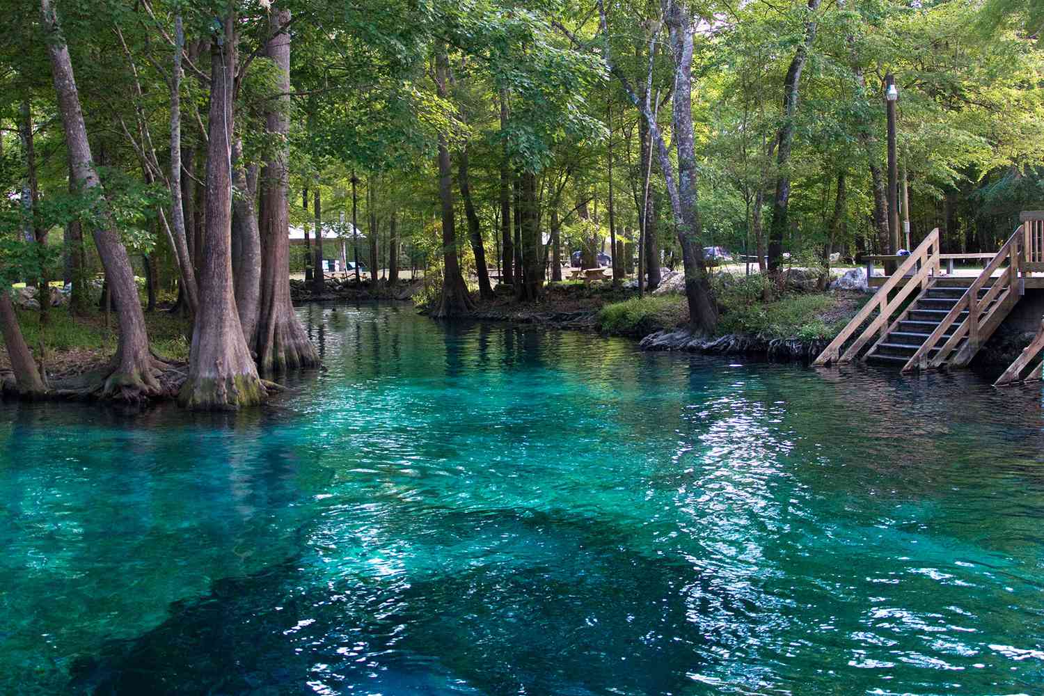 Natural spring with crystal clear turquoise water - Florida freshwater spring