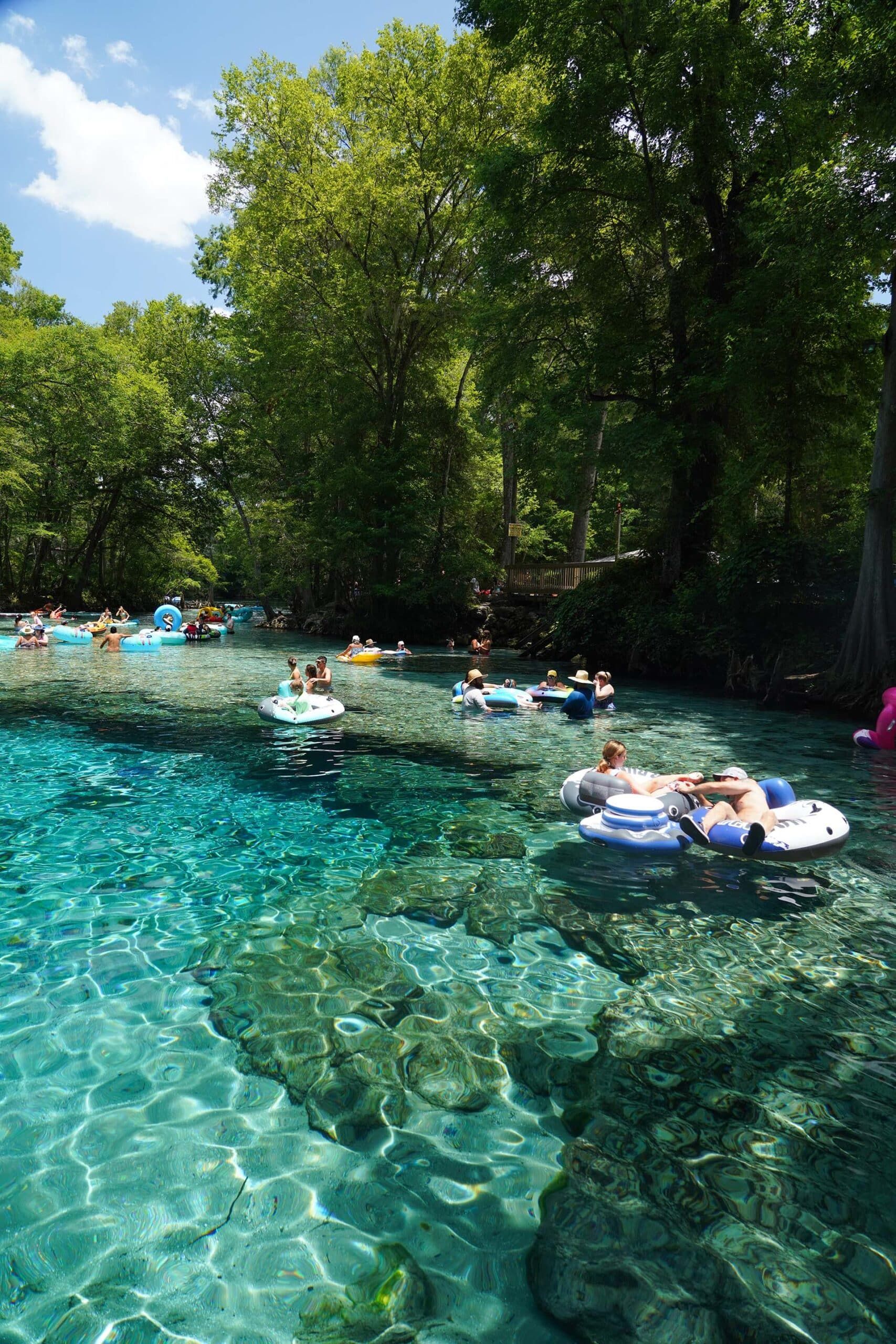 Ginnie Springs crystal clear natural spring water - pristine clarity